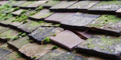 Dunton Bassett roof repair costs